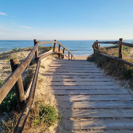 Hello Oliva Beach Alter Luaran gambar